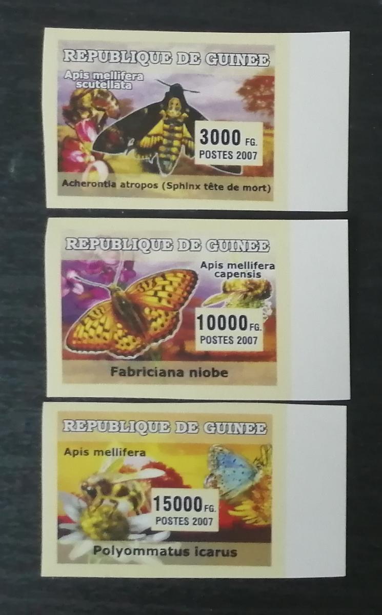 Guinea 2007 Mi.4704-6 7,5€ Africký hmyz a motýli, můry, včely, IMPERF.