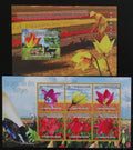 Guinea 2010 Mi.7508-3+Bl.1824 22€ - Šlechtění tulipánů, flora a květy