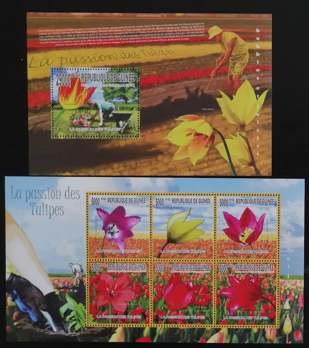 Guinea 2010 Mi.7508-3+Bl.1824 22€ - Šlechtění tulipánů, flora a květy
