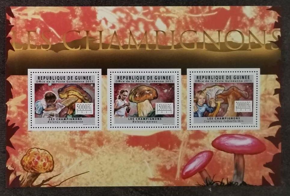 Guinea 2011 16€ Komplet - Houby a flora Afriky, Mykologie