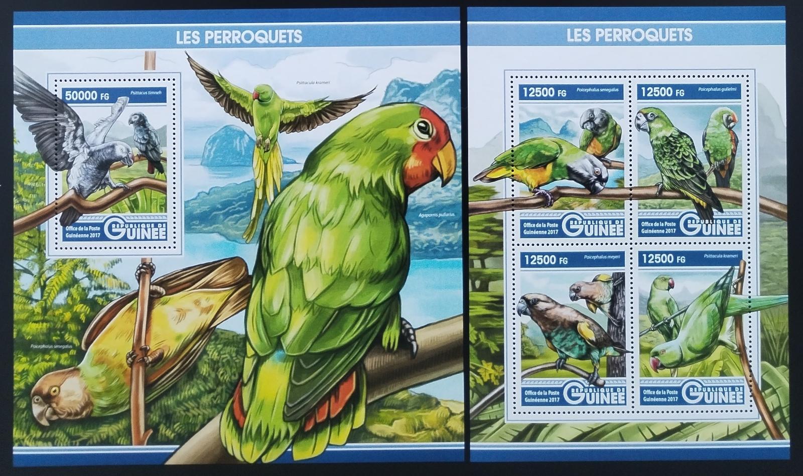 Guinea 2017 Papoušci a tropičtí ptáci Afriky