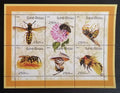 Guinea-Bissau 2001 Mi.1510-5 6,5€ - Africké včely a vosy, hmyz, fauna