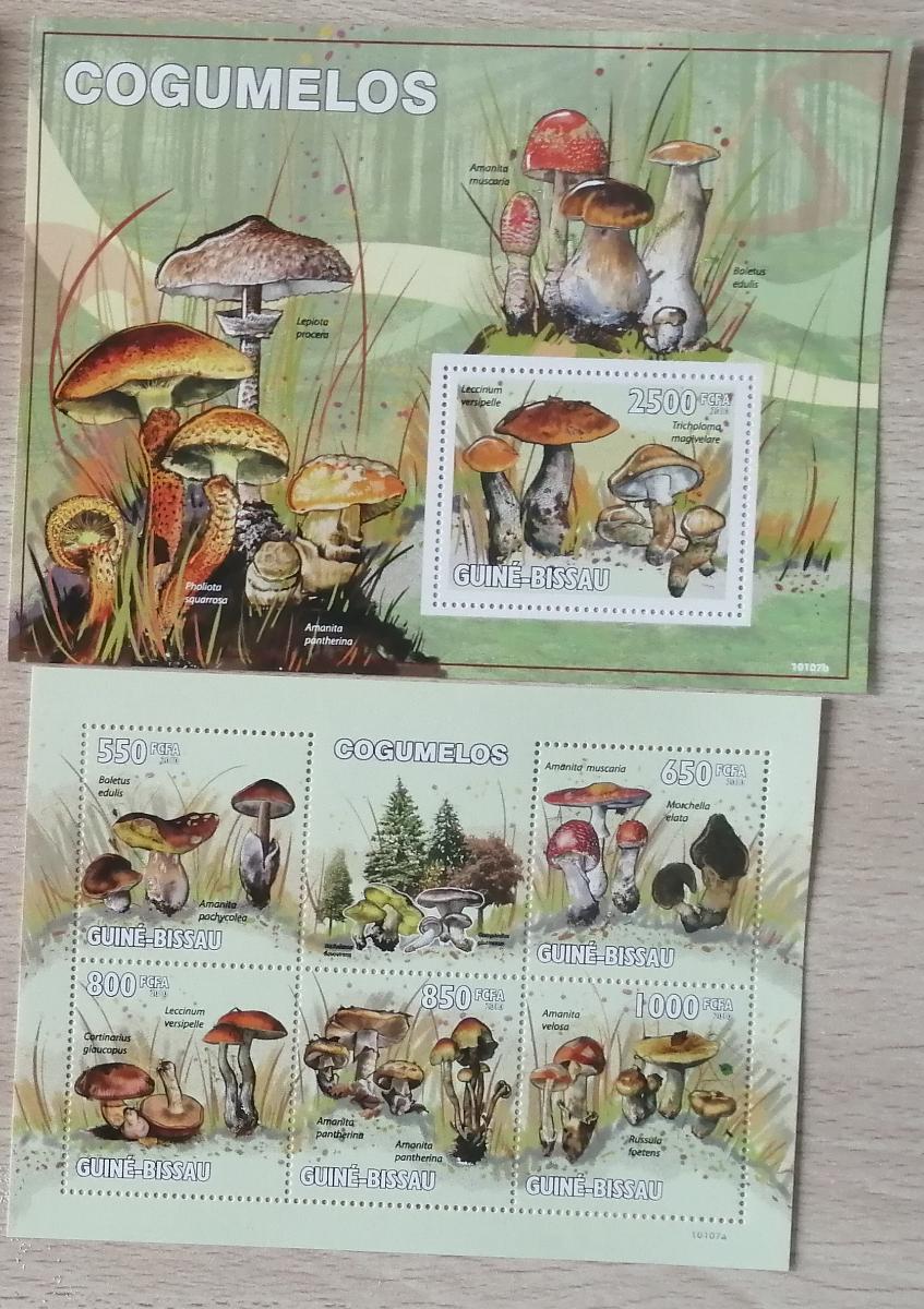 Guinea-Bissau 2010 Mi.4623-7+Bl.752 25€ Houby a mykologie, flora