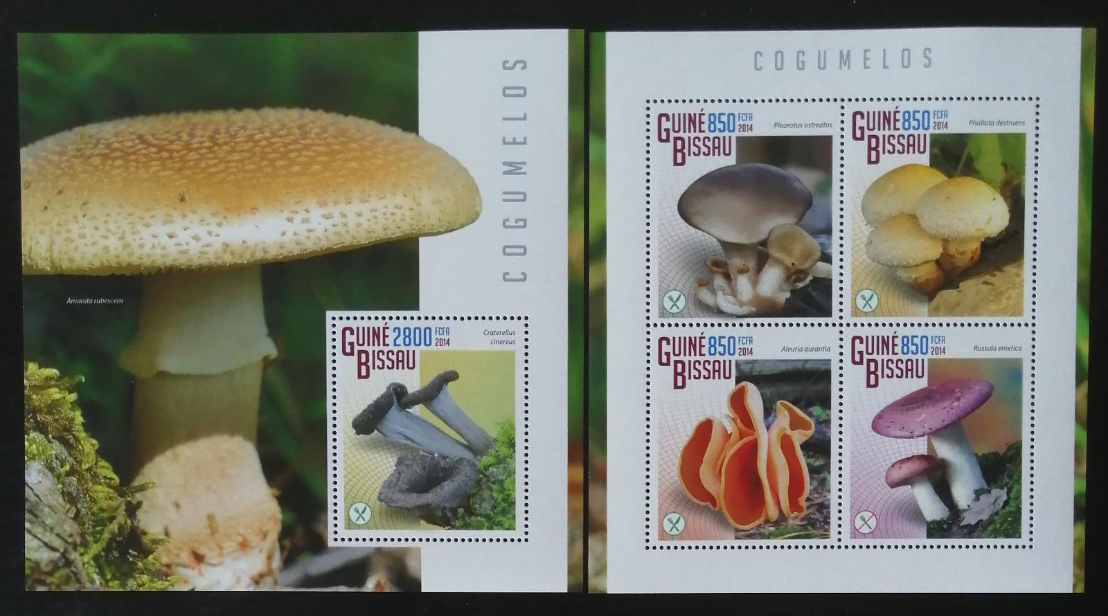Guinea Bissau 2014 Mi.7518-1+Bl.1309 25€ Houby a flora, mykologie