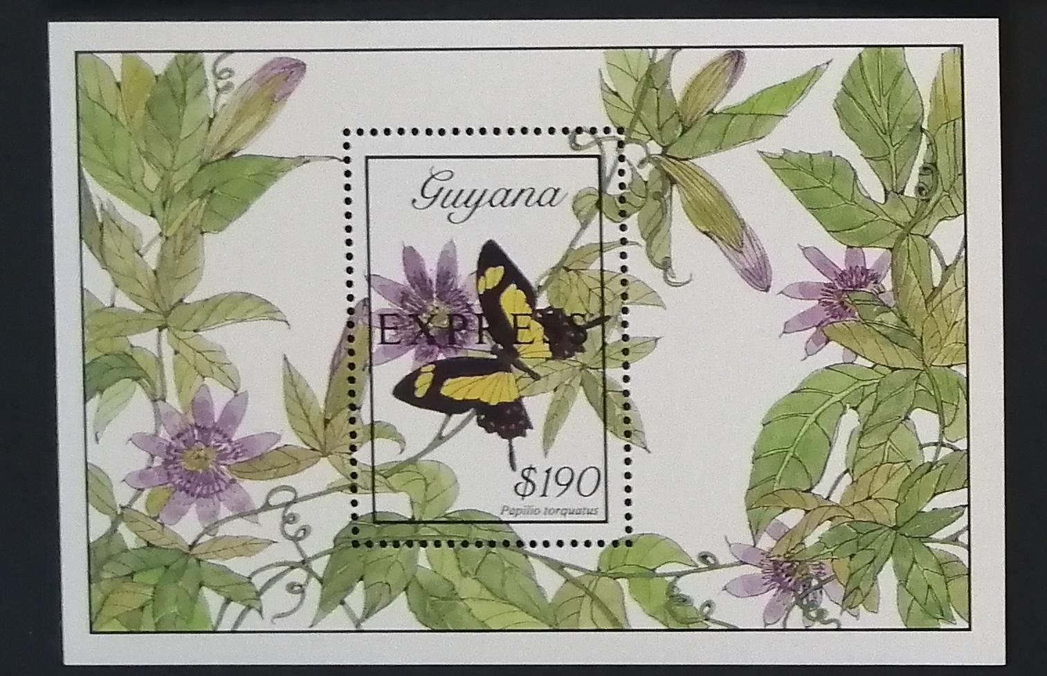 Guyana 1989 Bl.54 13€ Motýli Jižní Ameriky, Papilio torquatus, EXPRESS