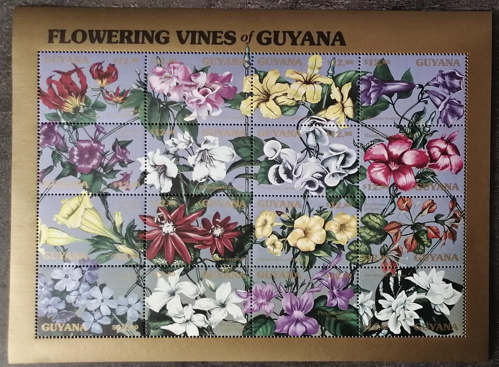 Guyana 1990 13€ Kvetoucí šlahouny a liány, Flora země