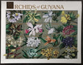 Guyana 1990 18€ Kvetoucí orchideje a květiny III.