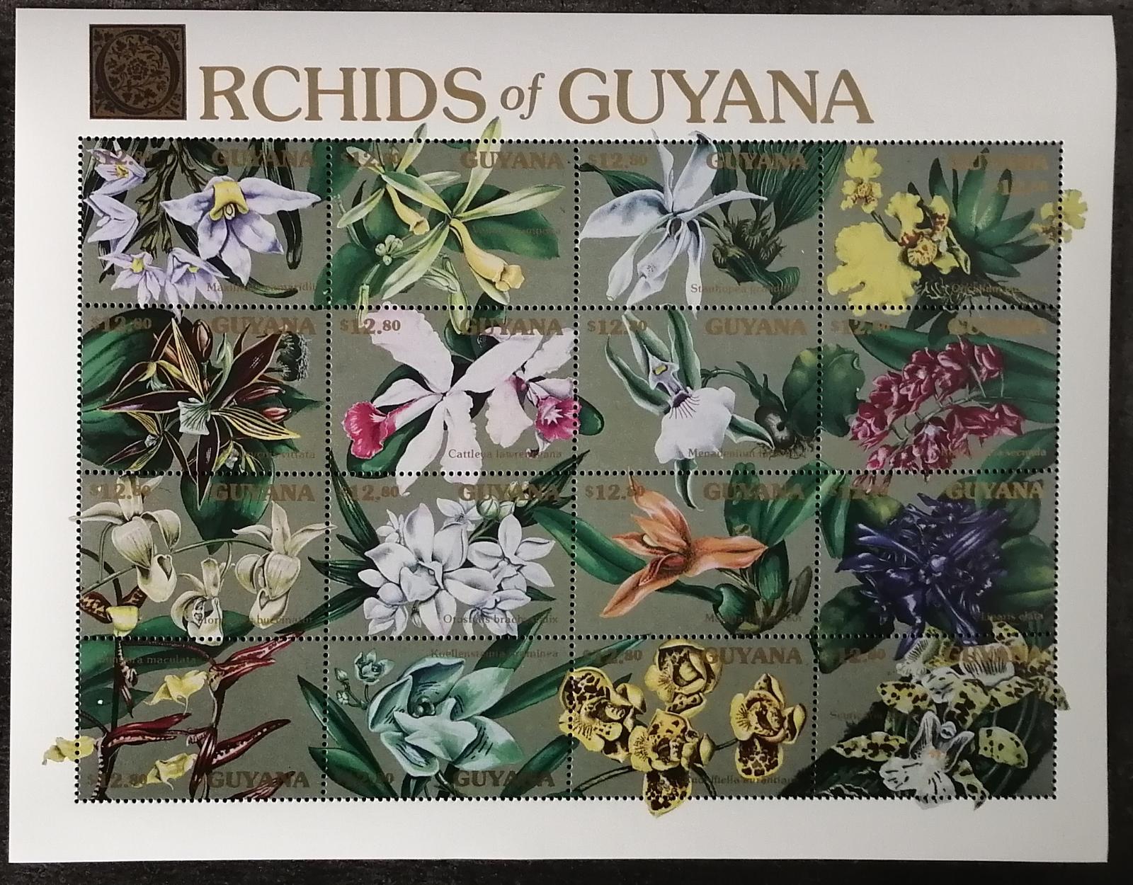 Guyana 1990 18€ Kvetoucí orchideje a květiny III.
