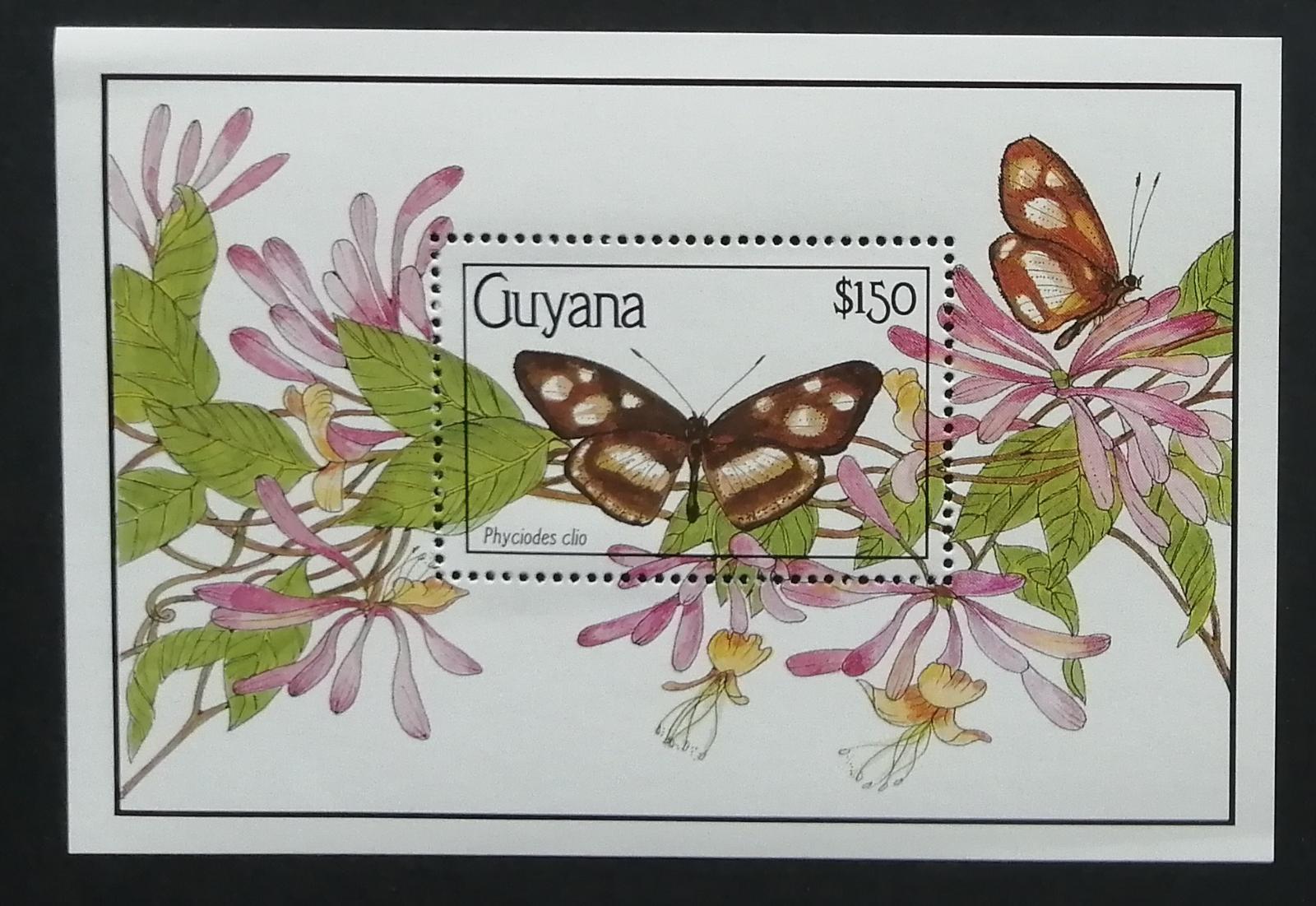 Guyana 1990 Bl.102 12€ Motýli Jižní Ameriky, hmyz