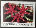 Guyana 1990 Bl.111 10€ Kvetoucí orchideje, Hexisea bidentata