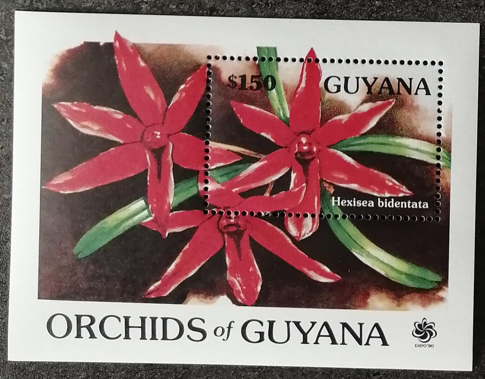 Guyana 1990 Bl.111 10€ Kvetoucí orchideje, Hexisea bidentata
