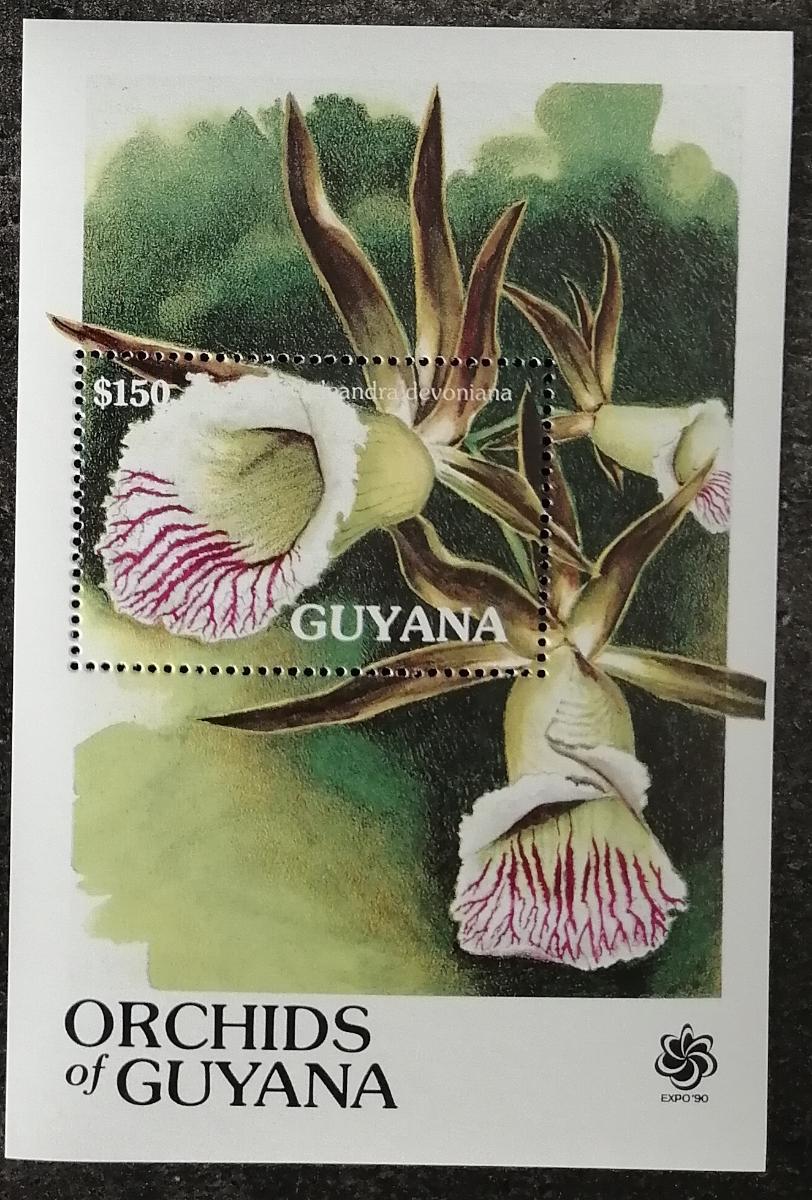 Guyana 1990 Bl.112 10€ Kvetoucí orchideje, Galeandra devoniana