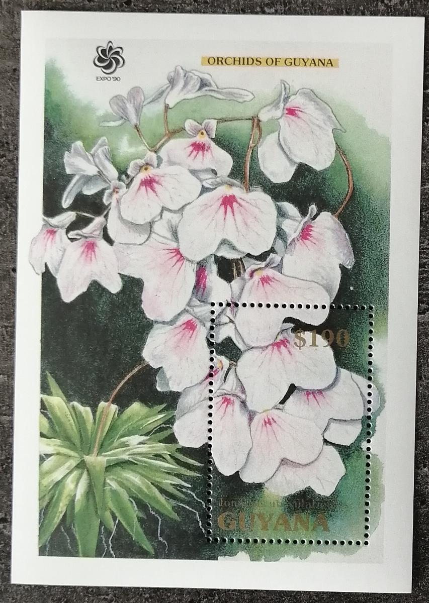 Guyana 1990 Bl.113 12€ Kvetoucí orchideje, Ionopsis utricularioides