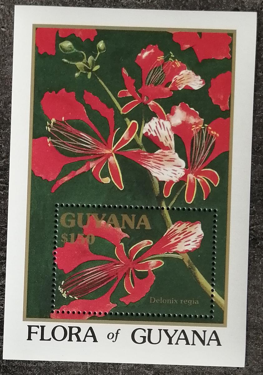 Guyana 1990 Bl.115 14€ Kvetoucí stromy a dřeva, Delonix regia