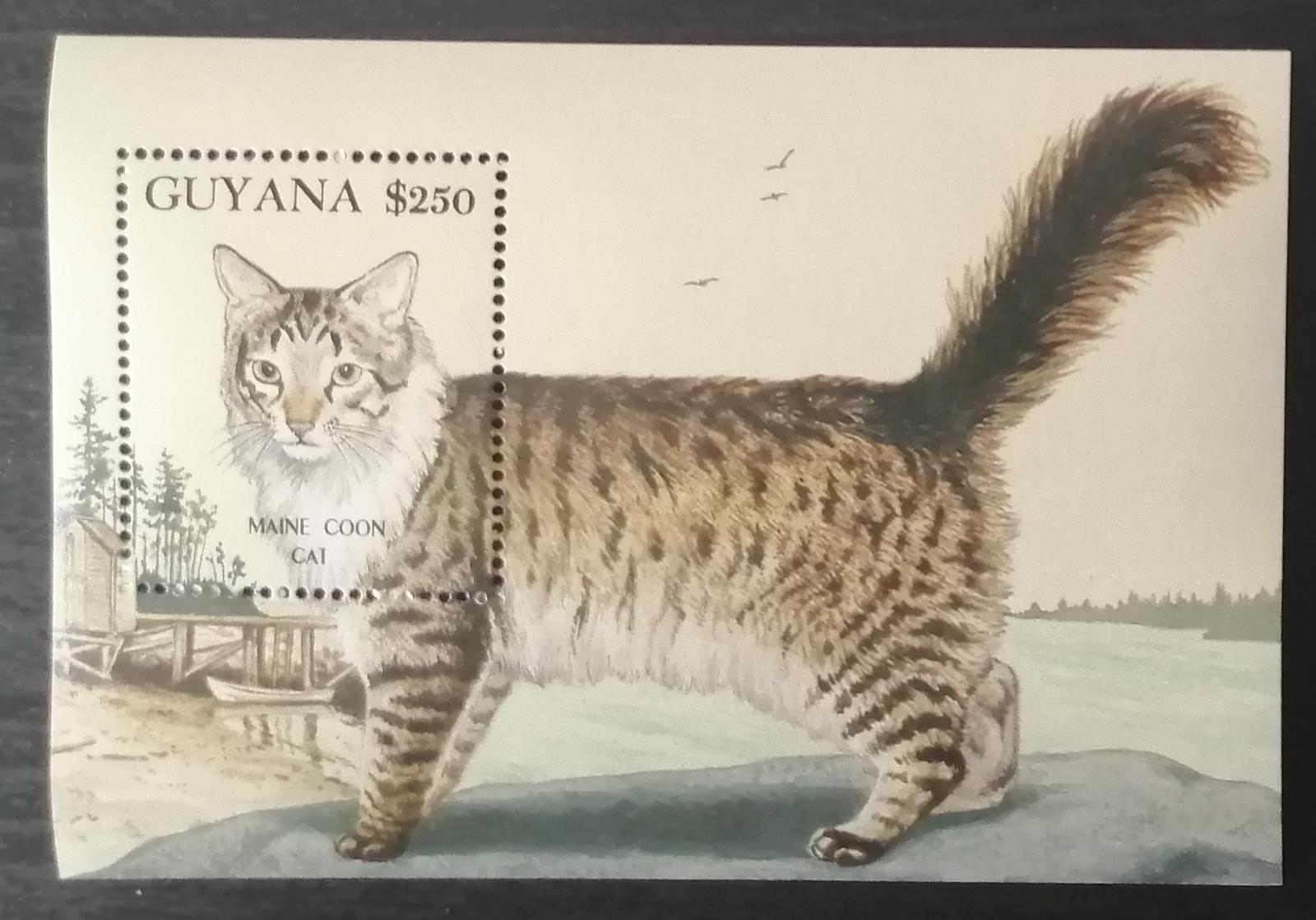 Guyana 1992 Bl.198 9,5€ Kočky a jejich plemena, Mainská mývalí