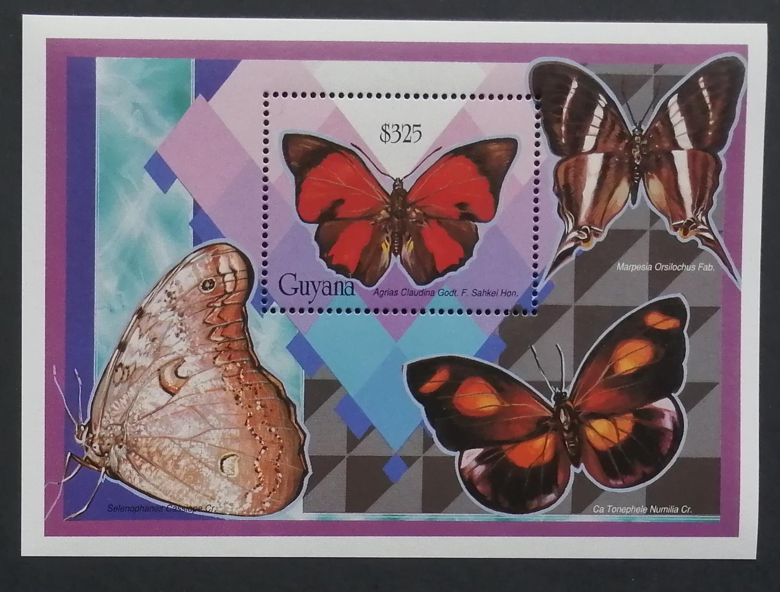 Guyana 1994 Bl.423 9€ Motýli Jižní Ameriky, hmyz