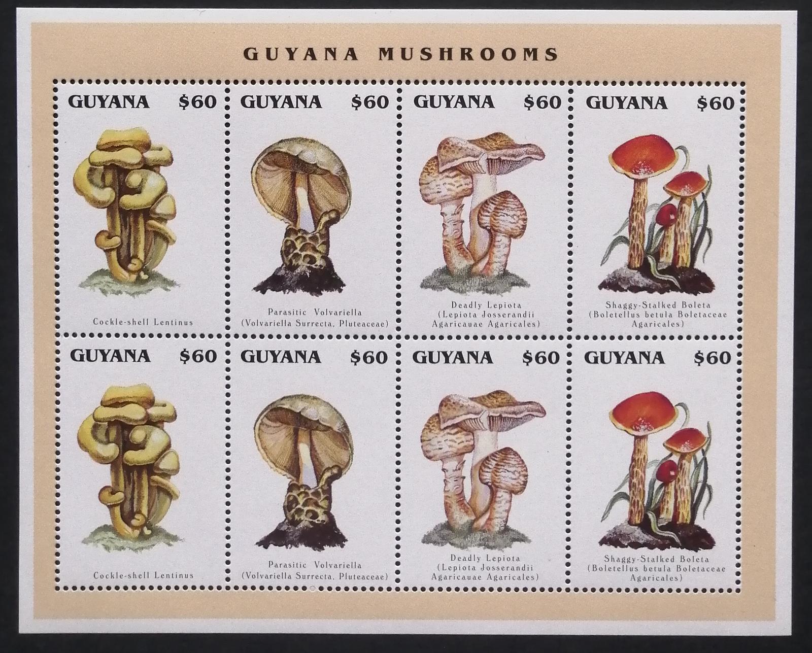 Guyana 1996 Mi.5534-7 14€ Houby Jižní Ameriky, flora, mykologie