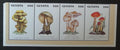 Guyana 1996 Mi.5534-7 7€ Houby a mykologie, flora Guyany