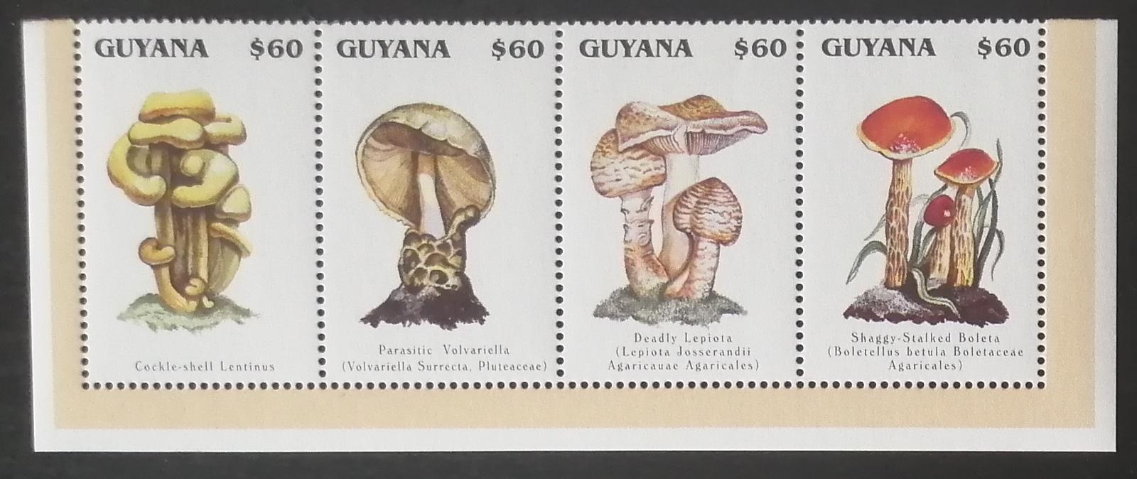 Guyana 1996 Mi.5534-7 7€ Houby Jižní Ameriky, mykologie