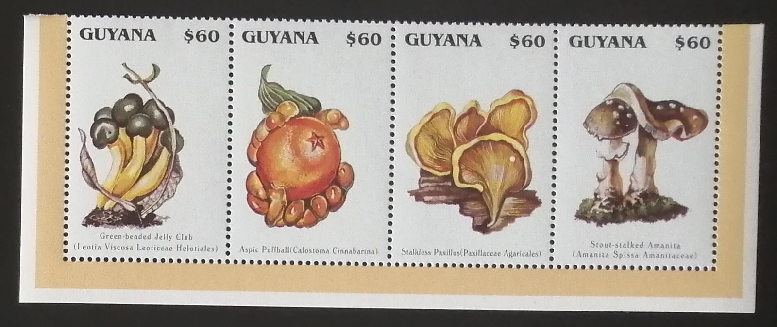 Guyana 1996 Mi.5542-5 7€ Houby Jižní Ameriky, mykologie