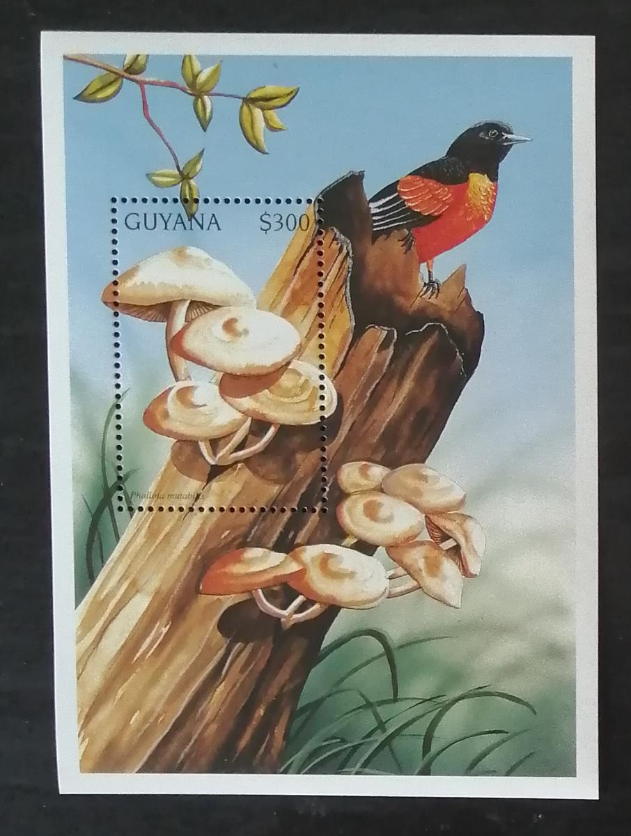 Guyana 1997 Bl.530 5€ Houby a mykologie, Kuehneromyces mutabilis