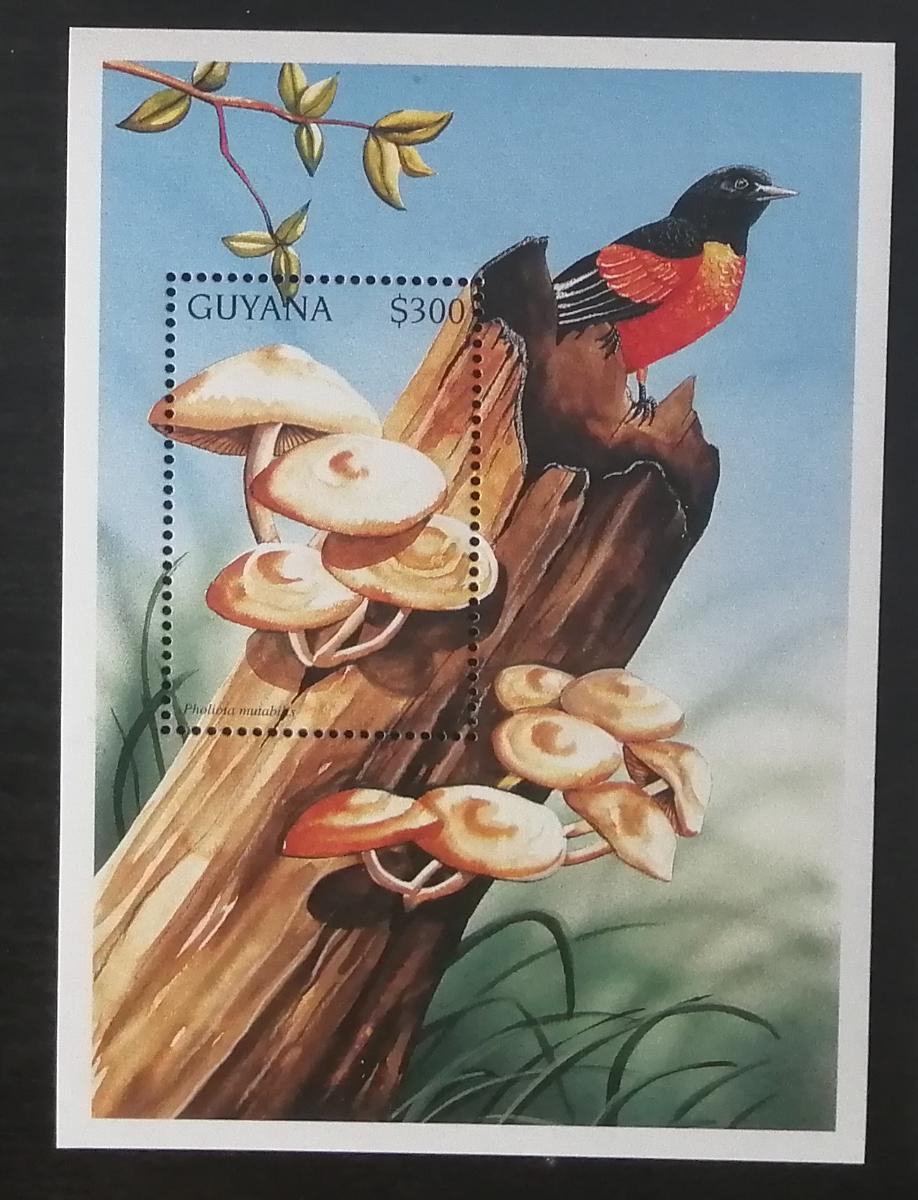 Guyana 1997 Bl.530 5€ Houby světa, mykologie, Kuehneromyces mutabilis