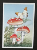Guyana 1997 Bl.531 5€ Houby a mykologie, Amanita muscaria