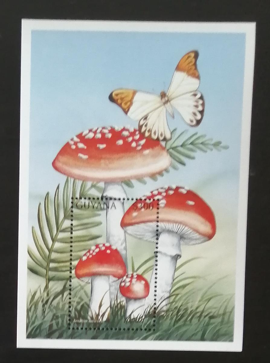 Guyana 1997 Bl.531 5€ Houby a mykologie, Amanita muscaria