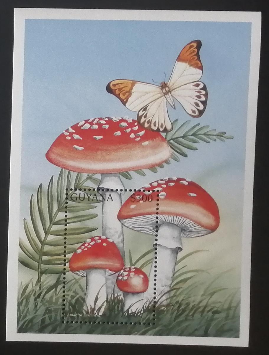 Guyana 1997 Bl.531 5€ Houby světa, mykologie, Amanita muscaria
