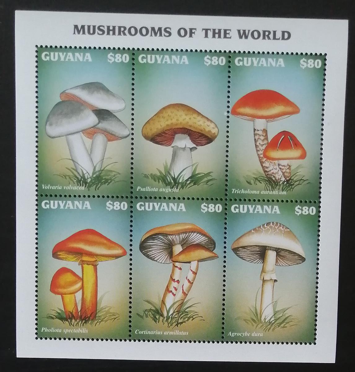 Guyana 1997 Mi.5925-0 7,5€ Houby a mykologie, flora Jižní Ameriky
