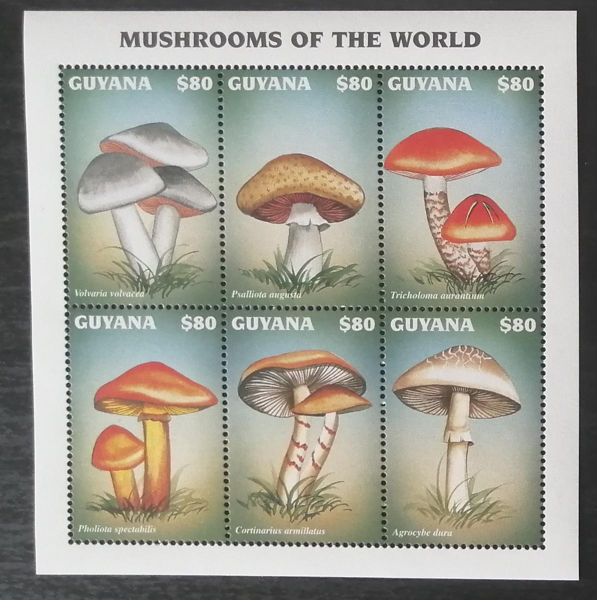 Guyana 1997 Mi.5925-0 7,5€ Houby světa, mykologie a flora