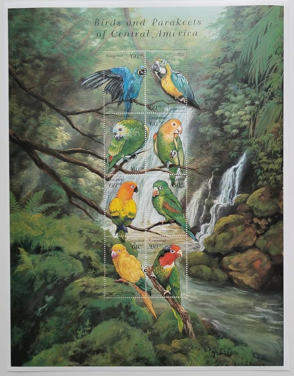 Guyana 1999 12€ Papoušci a tropičtí ptáci Guyany, VELKÝ FORMÁT