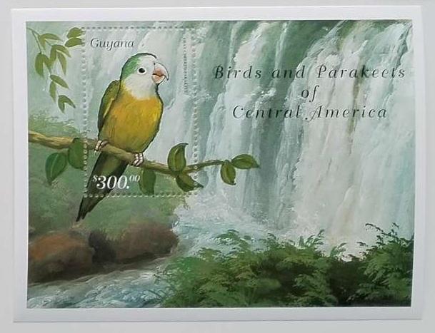 Guyana 1999 Bl.617 5€ Papoušci Jižní Ameriky, Brotogeris pyrrhopterus