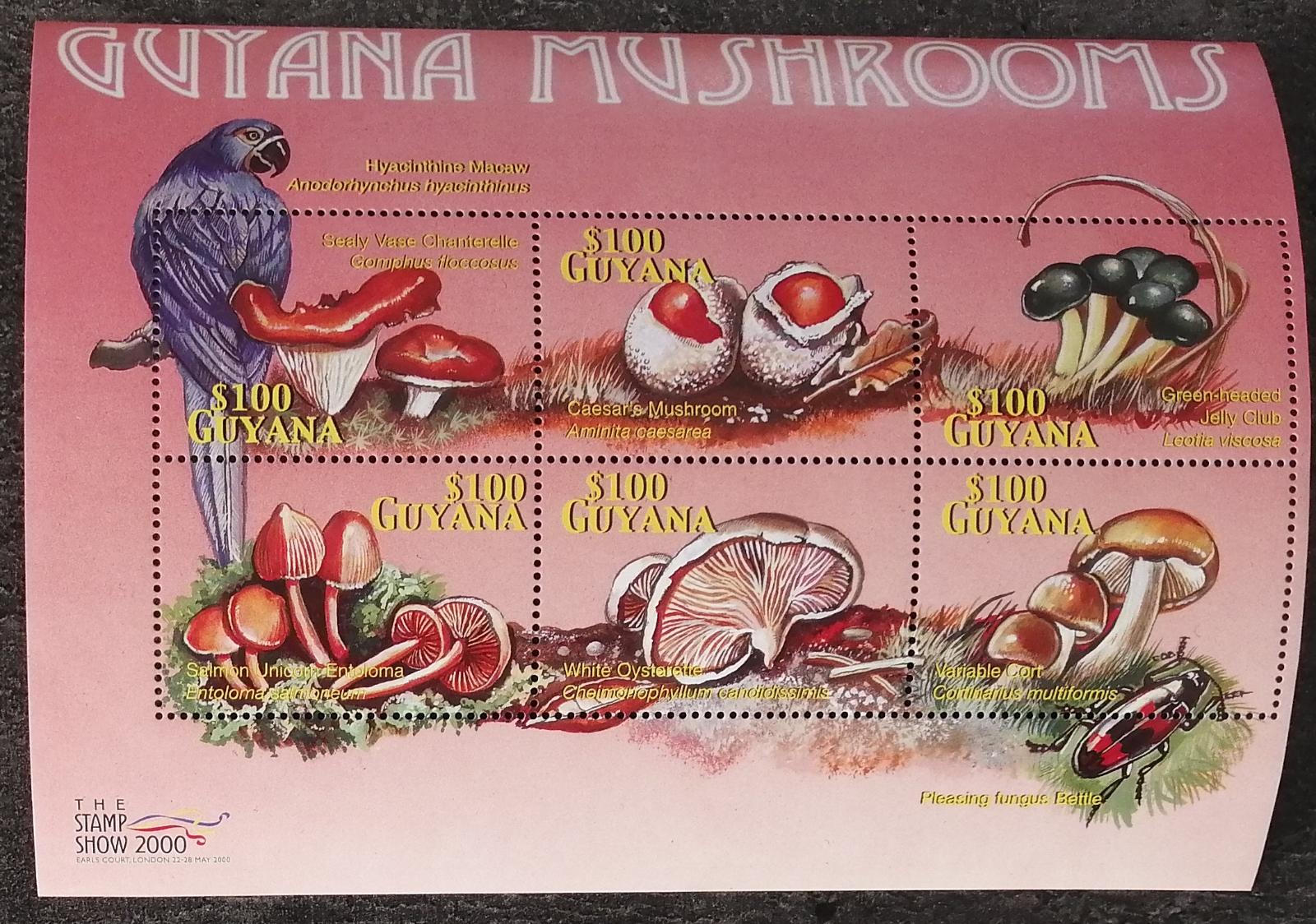 Guyana 2000 10€ Houby a mykologie Karibiku I.