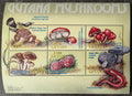 Guyana 2000 10€ Houby a mykologie Karibiku II.