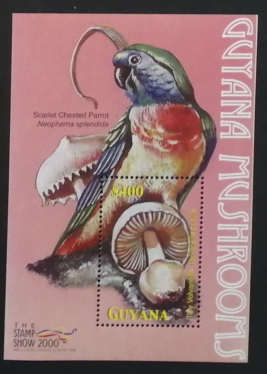 Guyana 2000 Bl.669 7€ Houby a fauna Jižní Ameriky