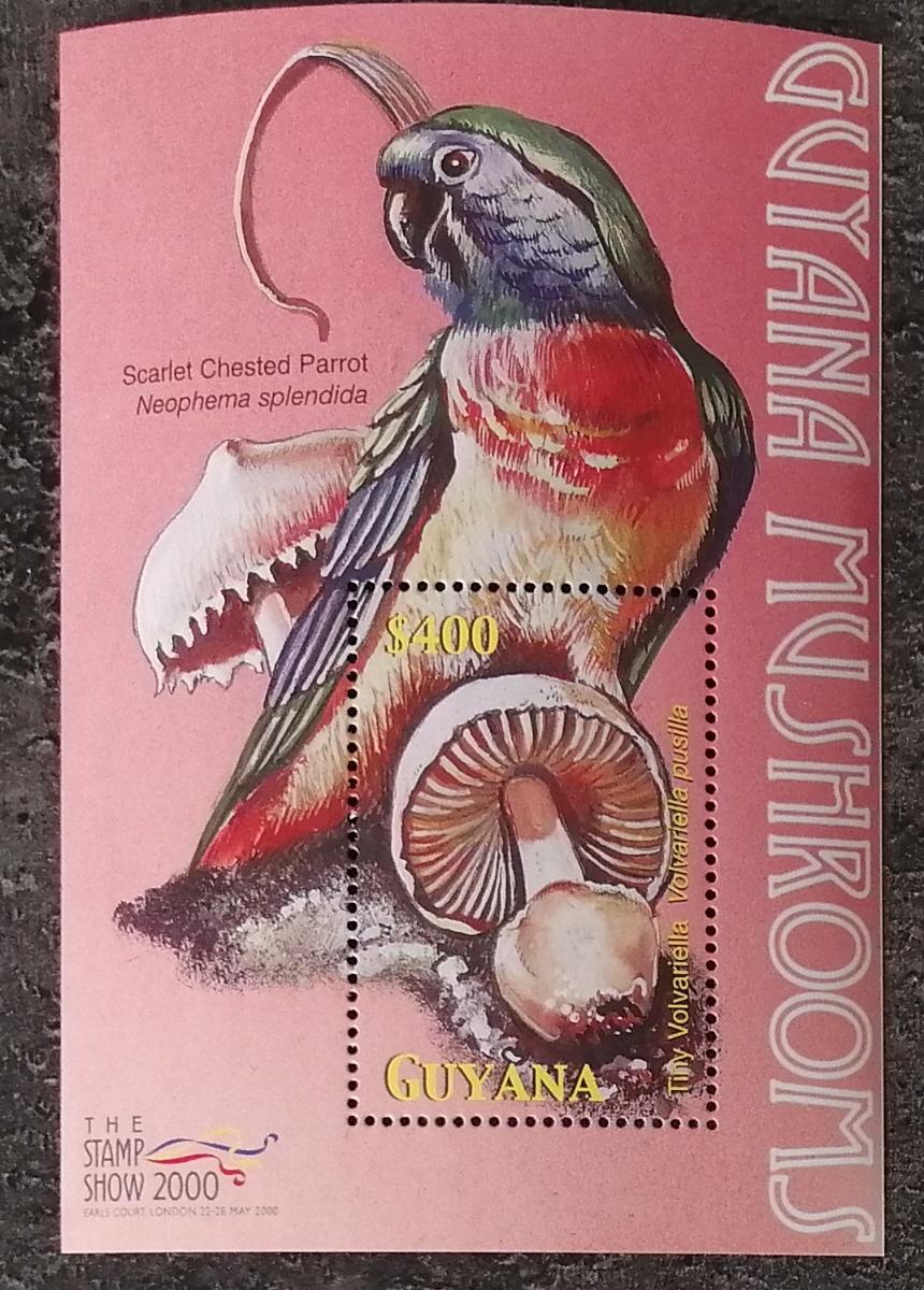 Guyana 2000 Bl.669 7€ Houby a mykologie Karibiku, Volvariella