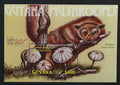 Guyana 2000 Bl.670 7€ Houby a fauna Jižní Ameriky