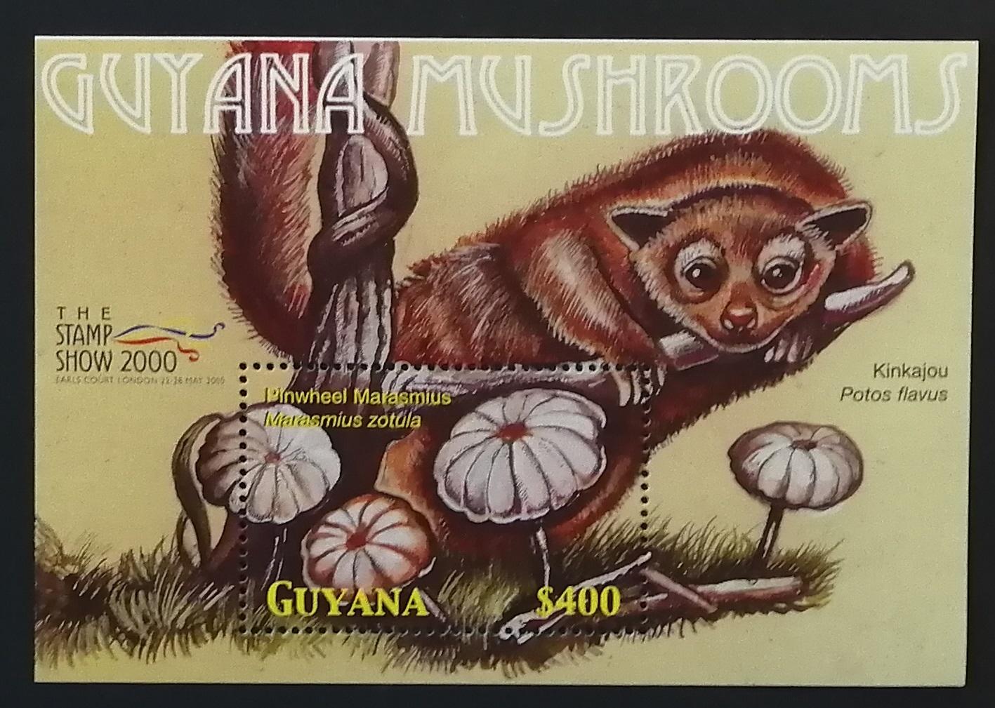 Guyana 2000 Bl.670 7€ Houby a fauna Jižní Ameriky