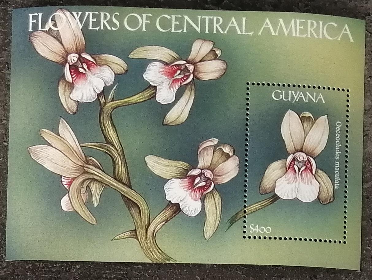Guyana 2000 Bl.685 7€ Květiny Karibiku, Oeceoclades maculata