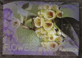 Guyana 2005 Bl.787 5€ Květiny Karibiku a Ameriky, Borůvka