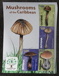 Guyana 2011 10€ Halulcinogenní a jedovat houby Karibiku