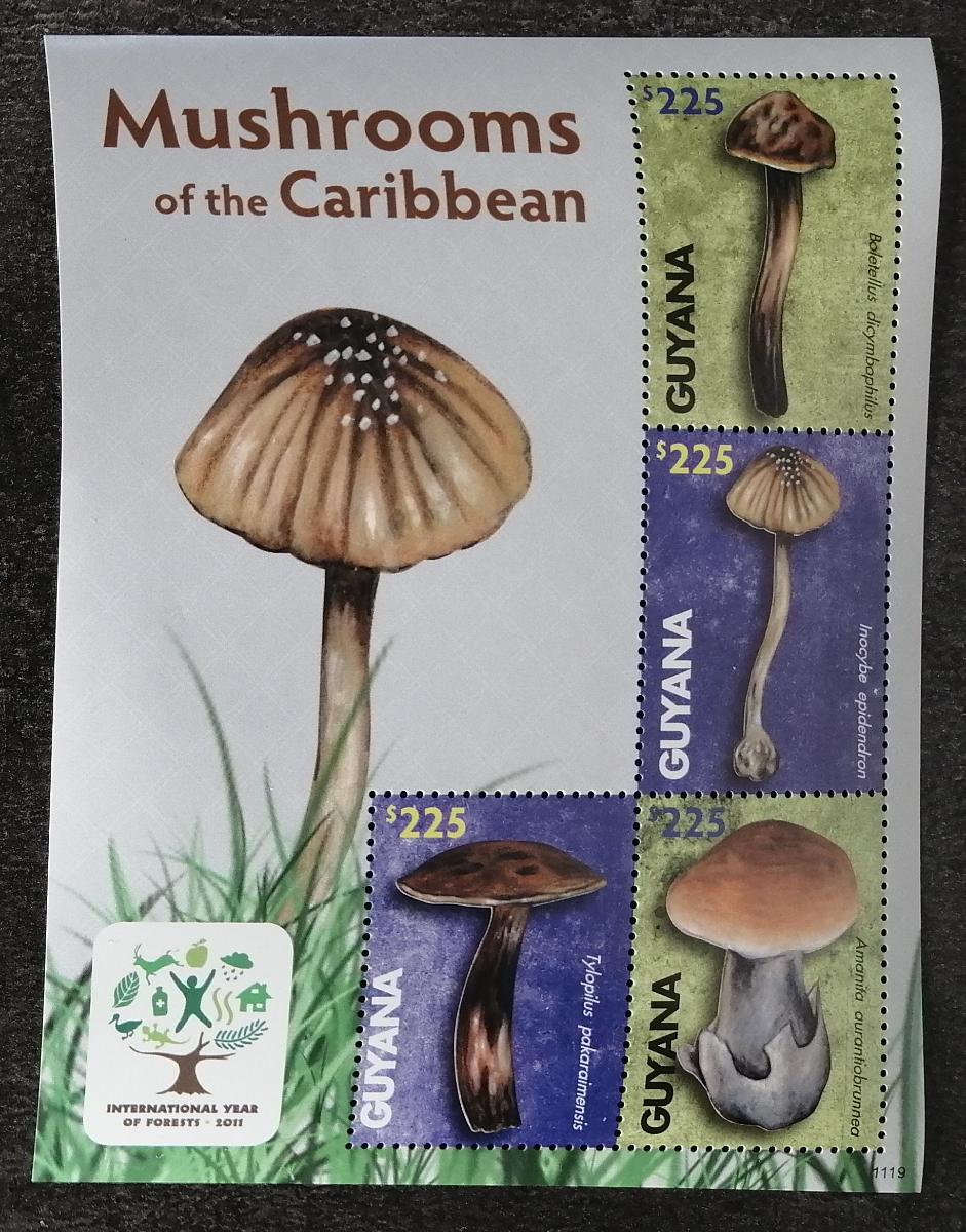 Guyana 2011 10€ Halulcinogenní a jedovat houby Karibiku