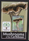 Guyana 2011 Bl.842 5€ Houby Jižní Ameriky, Craterellus excelsus