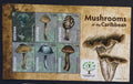 Guyana 2011 Mi.8222-7 9€ Houby Jižní Ameriky, flora Karibiku