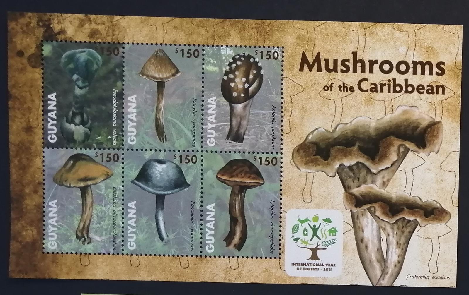 Guyana 2011 Mi.8222-7 9€ Houby Jižní Ameriky, flora Karibiku