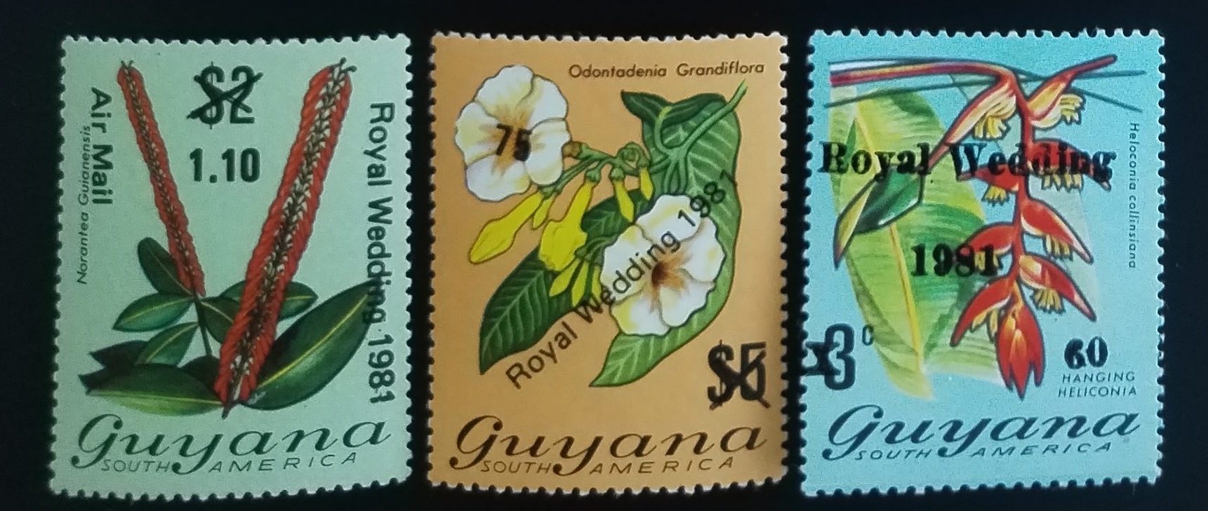 Guyana 1981 Královská svatba, Flora a květiny