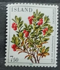 Island 1984 Polární keříčky a flora, Květiny