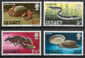 Jersey 1973 Mořská fauna a ryby