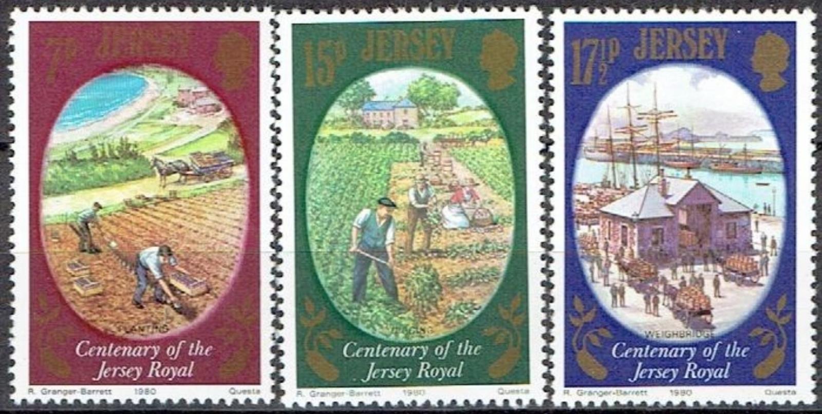 Jersey 1980 Století odrůdy brambor "Jersey Royal"